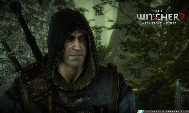 Witcher 2 Assassins Of Kings, Arrière-plans HD à télécharger