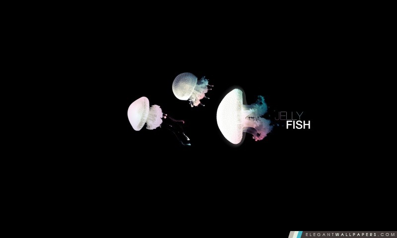 Jelly Fish, Arrière-plans HD à télécharger