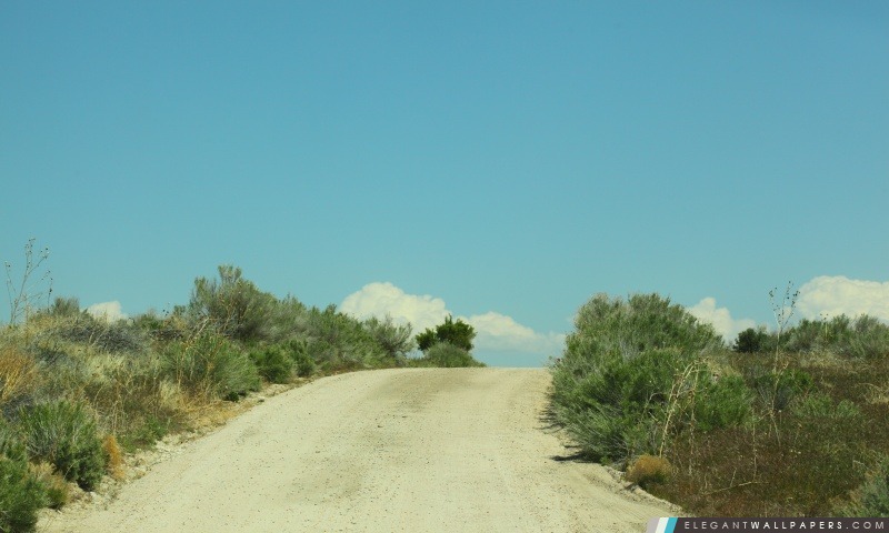 Sandy Road et brosse à récurer, Antelope Island, Utah, Arrière-plans HD à télécharger