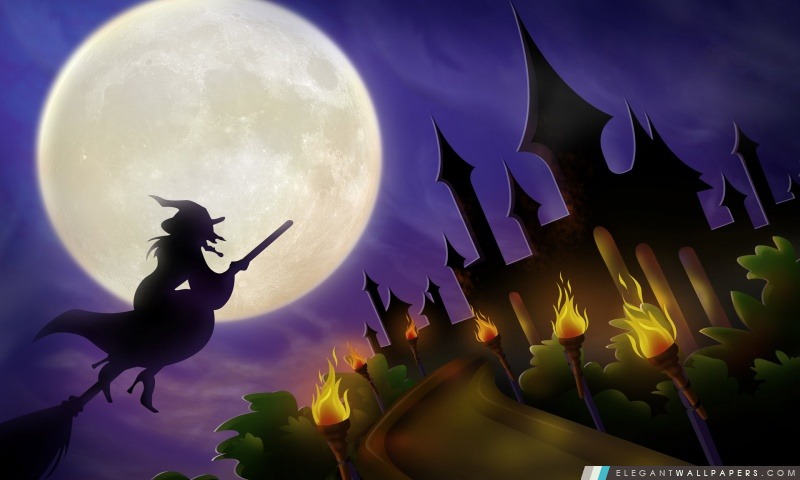 Sorcière sur le balai Full Moon Hallowmas Halloween, Arrière-plans HD à télécharger