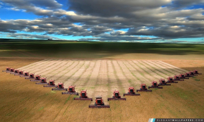 Combine Harvester moderne de travail sur une culture de blé, Arrière-plans HD à télécharger