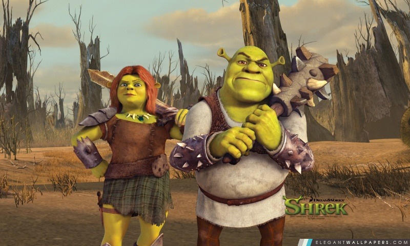 Shrek et Fiona, Shrek The Final Chapter, Arrière-plans HD à télécharger