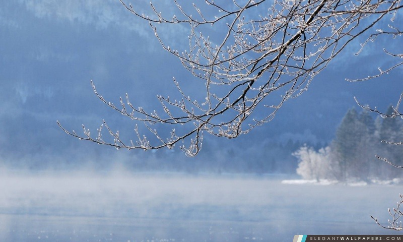 Brouillard d'hiver, le lac, Arrière-plans HD à télécharger