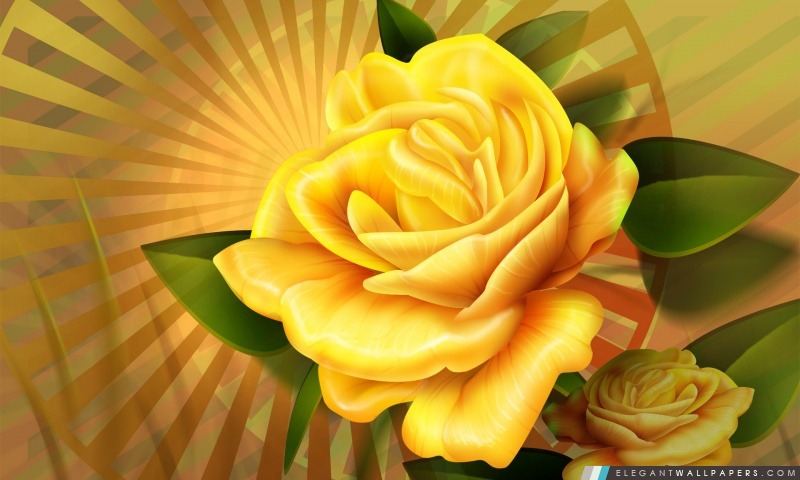 Roses jaunes Illustration, Arrière-plans HD à télécharger