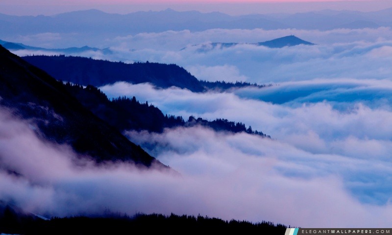 Mount Rainier National Park, Washington, Arrière-plans HD à télécharger