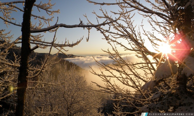 Paysage de montagne, hiver, Arrière-plans HD à télécharger