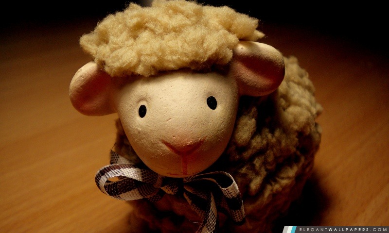 Mini Sheep, Arrière-plans HD à télécharger