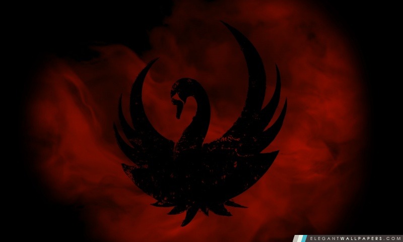 The Black Swan, Arrière-plans HD à télécharger