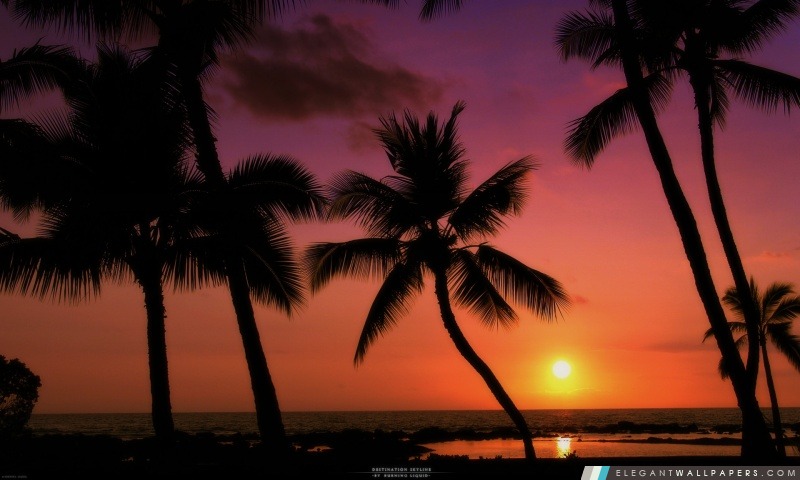 Coucher du soleil tropical, Arrière-plans HD à télécharger