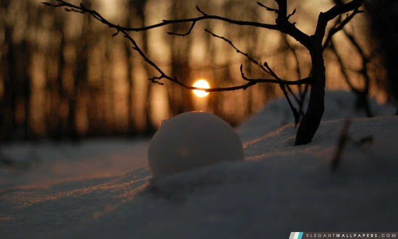 Une boule de neige dans la neige, Arrière-plans HD à télécharger