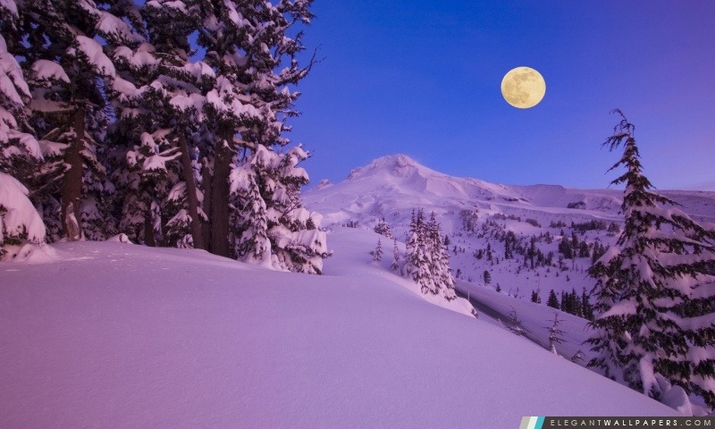 Mount Hood Oregon, Arrière-plans HD à télécharger