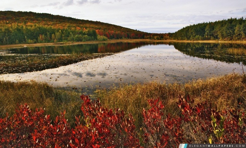 Casse-Cou Pond, Acadia National Park, Maine, Arrière-plans HD à télécharger