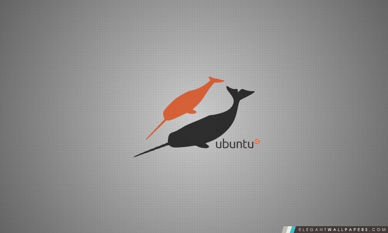 Les narvals Linux, Arrière-plans HD à télécharger
