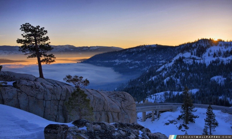Pine Tree au lever de soleil-dessus d'une Foggy Donner Lake en Californie, Arrière-plans HD à télécharger