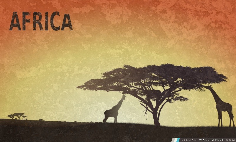 Afrique, Arrière-plans HD à télécharger