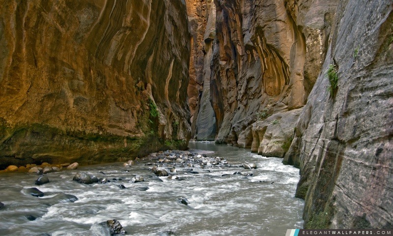 Canyon de la rivière, Arrière-plans HD à télécharger