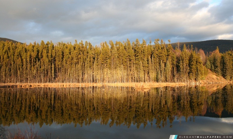 Morfee Montagne, Mackenzie, en Colombie-Britannique, Canada, Arrière-plans HD à télécharger
