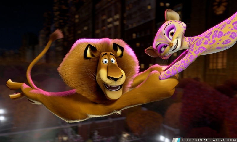Most Wanted cirque Madagascar 3 de l'Europe, Arrière-plans HD à télécharger