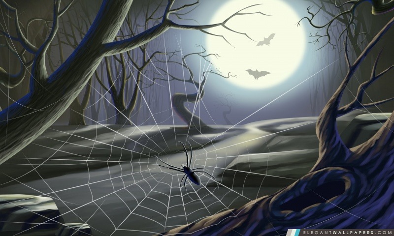 Toile d'araignée pleine lune Hallowmas Halloween, Arrière-plans HD à télécharger