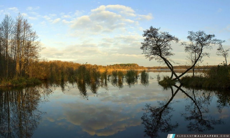 Lake, automne, Arrière-plans HD à télécharger