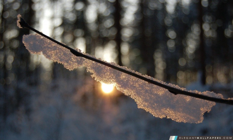Chaud soleil en hiver, Arrière-plans HD à télécharger