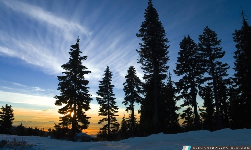 Novembre Ciel, Mount Seymour, Colombie-Britannique, Arrière-plans HD à télécharger