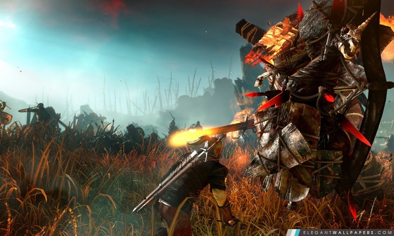 Witcher 2 Assassins of Kings, Arrière-plans HD à télécharger
