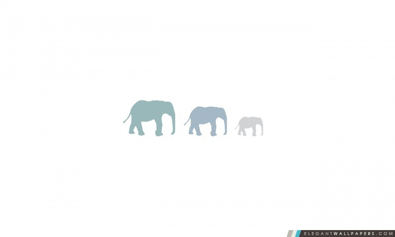 Trois éléphants, Arrière-plans HD à télécharger