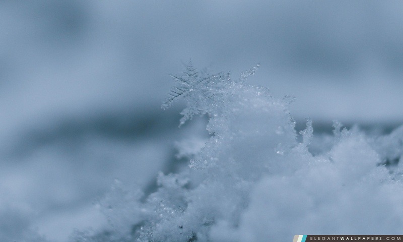 Flocon de neige Macro, Arrière-plans HD à télécharger