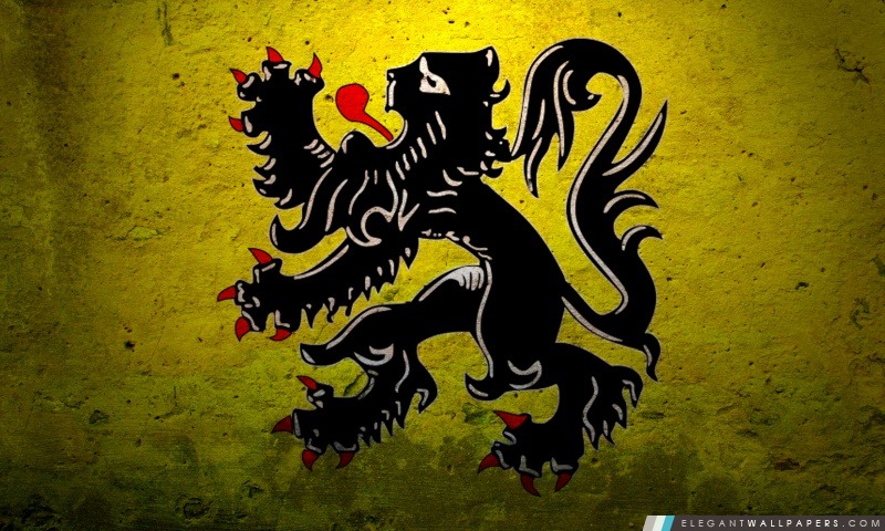 Grunge drapeau de gouvernement en Belgique, Arrière-plans HD à télécharger
