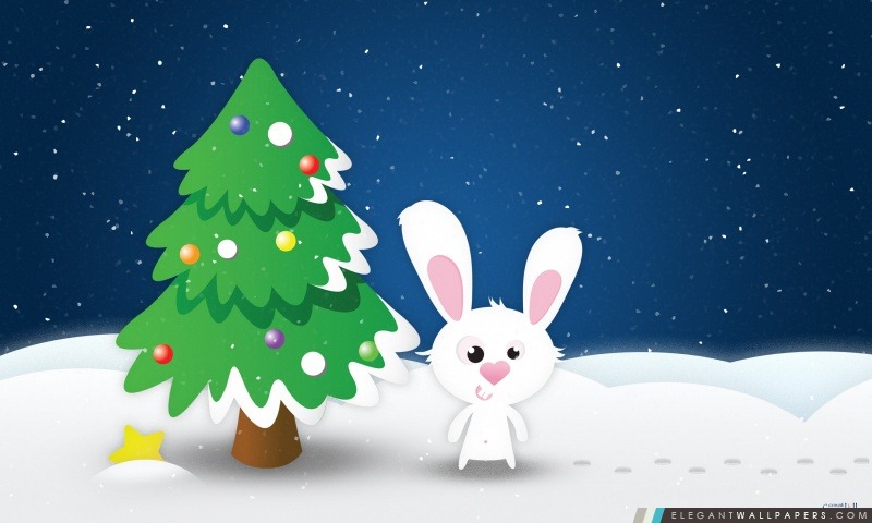 White Rabbit, Arrière-plans HD à télécharger