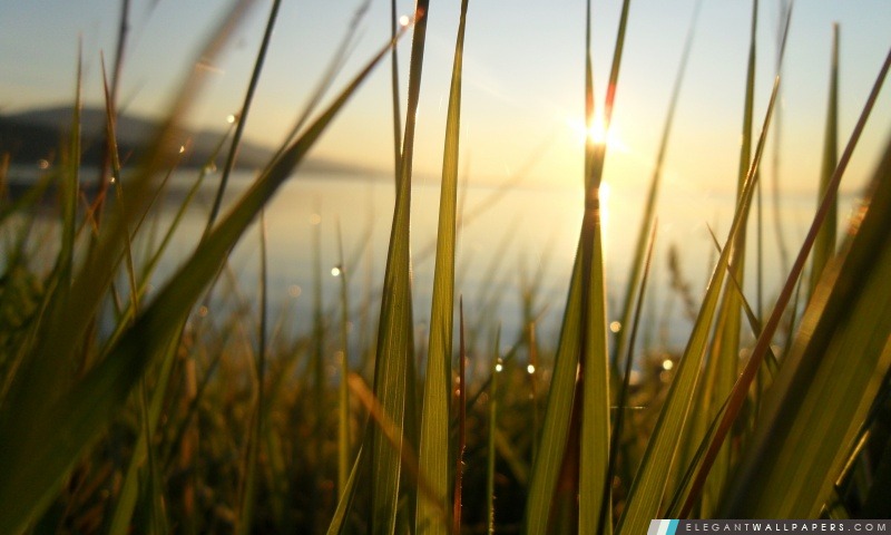 Lac Baïkal Coucher de soleil, Arrière-plans HD à télécharger