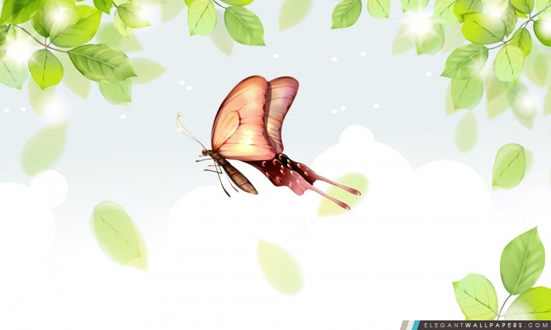 Papillons Illustration 2, Arrière-plans HD à télécharger
