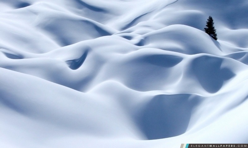 Desert neige, Arrière-plans HD à télécharger