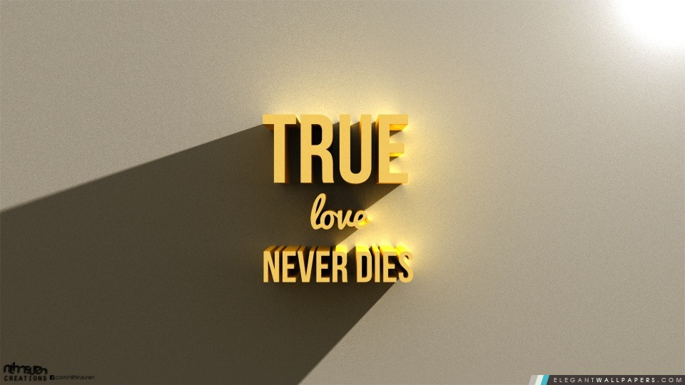 True Love Jamais Dies_05_Nithinsuren, Arrière-plans HD à télécharger
