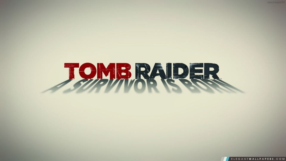 Tomb Raider 2013 blanc affiches, Arrière-plans HD à télécharger