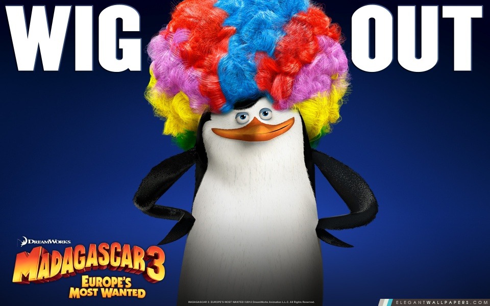 Madagascar 3 Afro Penguin, Arrière-plans HD à télécharger