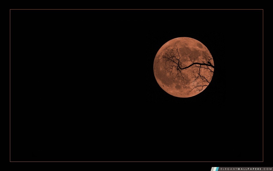 Halloween Lune, Arrière-plans HD à télécharger